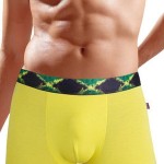 Boxerky Moraj BBX 600-027 BAMBOO