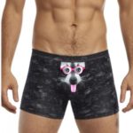 Pánské boxerky  280/134 Tattoo Racoon