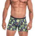 Pánské boxerky 280/171 Tatto chameleon2