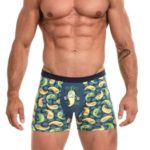 Pánské boxerky 280/172 Tatto stay strong