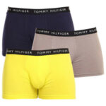 3PACK pánské boxerky Tommy Hilfiger vícebarevné (UM0UM02203 0S1)