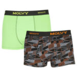 2PACK Pánské boxerky Molvy vícebarevné (2MP-2637-BEU)