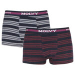 2PACK Pánské boxerky Molvy vícebarevné (2MP-312-BEU)