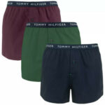 3PACK pánské trenky Tommy Hilfiger vícebarevné (UM0UM02327 0UJ)