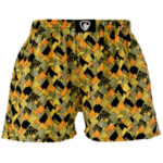 Pánské trenky Represent exclusive Ali mountain everywhere (R2M-BOX-0649)