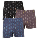 Pánské trenky 3PACK  PS 5643 – Andrie